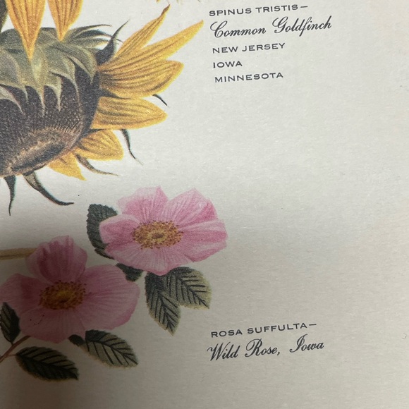 Vintage Arthur Singer Bird Print Number 5 & 6 of a Series - Picture 6 of 8